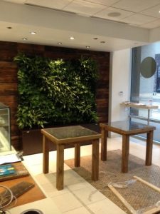 The interior features a living plant wall boasting 200+ living plants: Elixir Juice Bar/Facebook