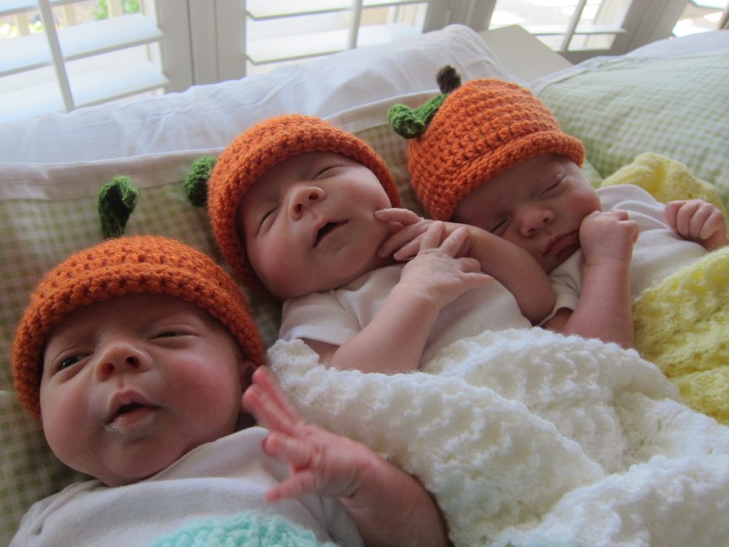 World's most adorable pumpkins: Courtesy Hardins 