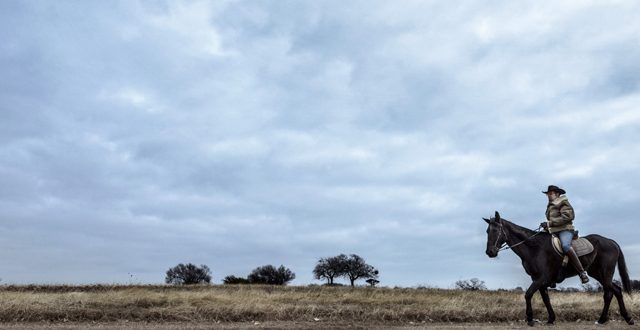The open space on Boy Scout Hill at White Rock Lake is being considered for a destination restaurant — that is, if neighbors will support it: Danny Fulgencio