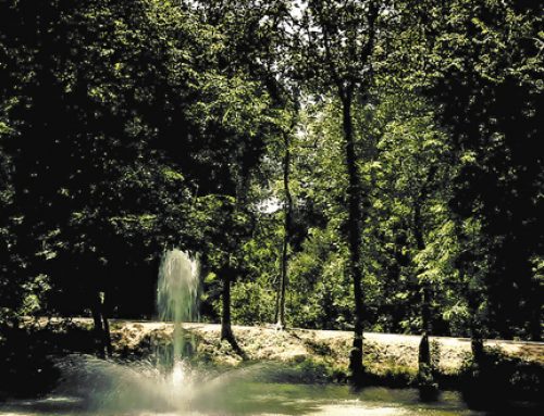 Lake Highlands North Park to Be Renamed Walne Park in Honor of Civic Leaders