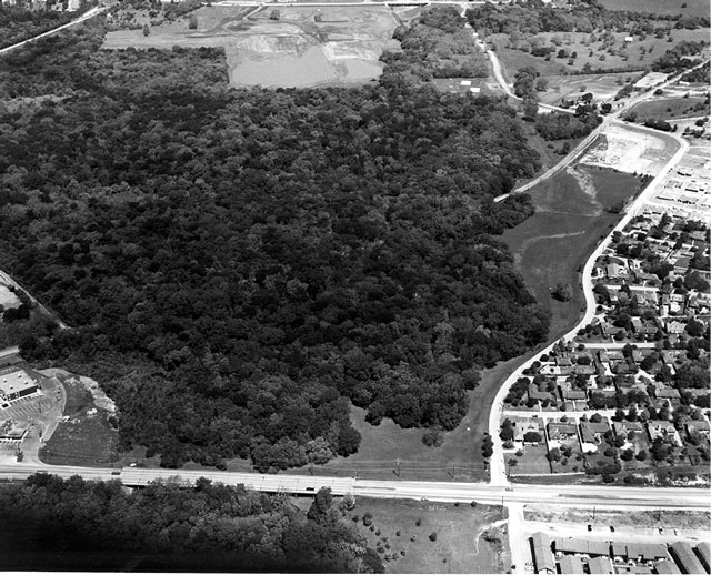 That’s the old Abrams long before the bridge, and then next to it is the park. You see, there’s Abrams underwater. That’s White Rock Creek, and you see there was nothing. There’s a school now near the top of the photo — Merriman Park Elementary — and there’s a playground next to Merriman Parkway. Look at the trees. There’s little to no trees, and Merriman Parkway ends before it reaches Abrams.