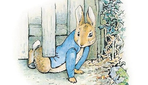 Peter Rabbit comes to life on the Dallas Children's Theater stage.