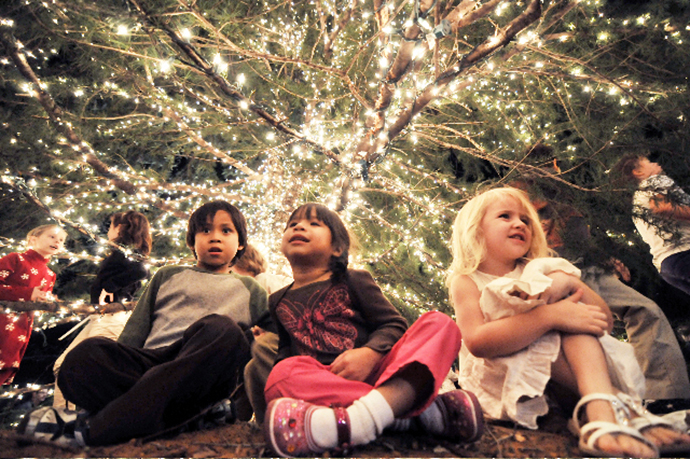 Lakewood's tree lighting festivities will take place Dec. 4. (Photo by Can Turkyilmaz for the Advocate)