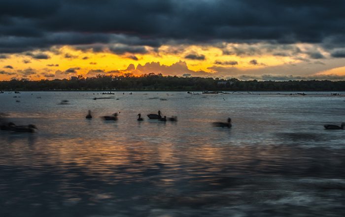 Best Place to Relax winner, White Rock Lake (Photo by Danny Fulgencio)