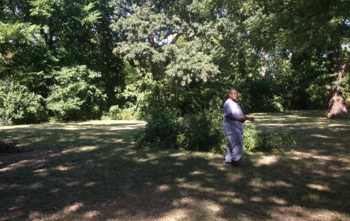 On Aug. 6, two unknown suspects were spotted slicing branches off a public pecan tree near White Rock Lake. (Photo by Lucan Watkins)