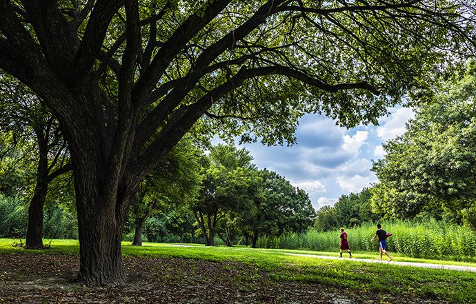 White Rock Creek Trail (Photo by Danny Fulgencio)