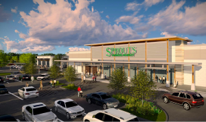 lake-highlands-town-center-sprouts-rendering