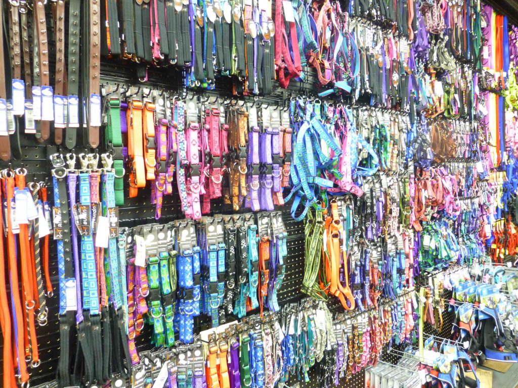 Leashes and collars at Hollywood Feed