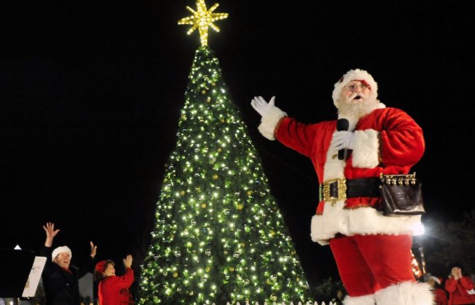 The Lake Highlands Junior Women’s League’s light up lake Highlands