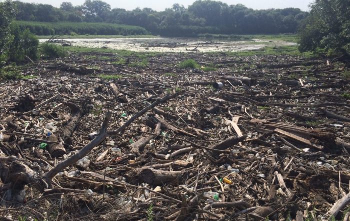 This drainage area along White Rock Creek is full of debris and garbage.