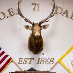 An elk head inside The Elks Lake Highlands’ Lodge #71 (Photo by Danny Fulgencio)