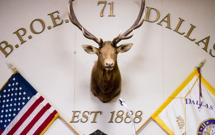 An elk head inside The Elks Lake Highlands’ Lodge #71 (Photo by Danny Fulgencio)