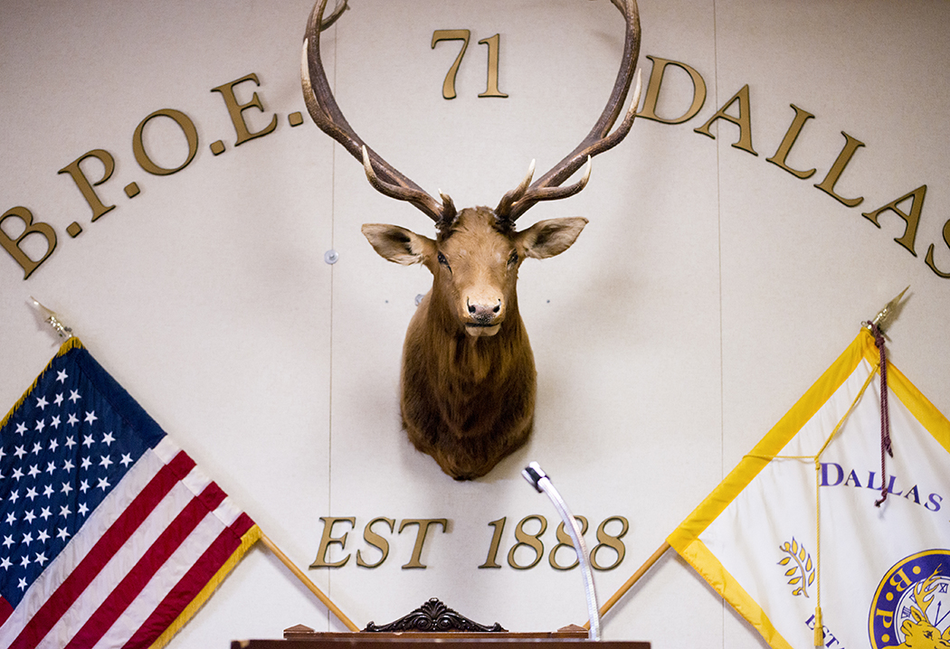 An elk head inside The Elks Lake Highlands’ Lodge #71 (Photo by Danny Fulgencio)