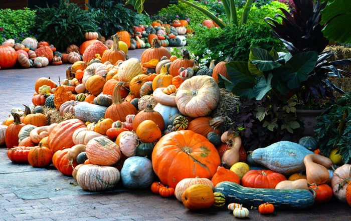 Pumpkins