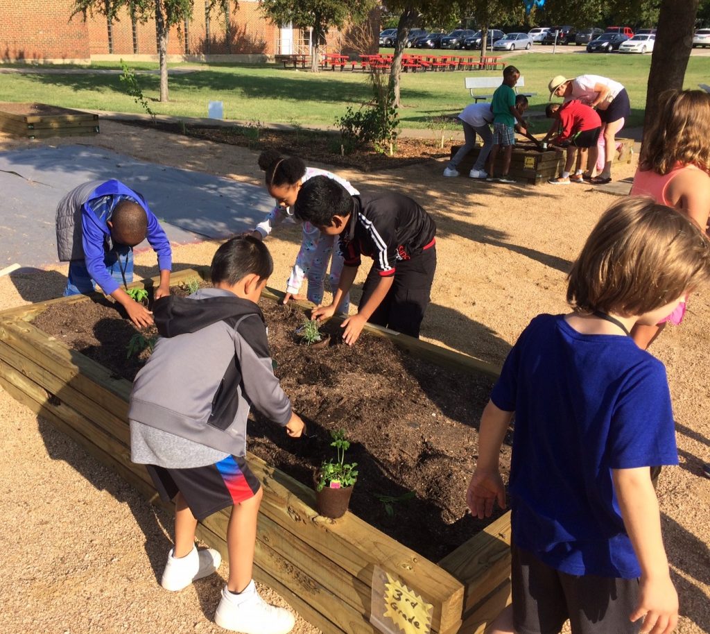 Students at Hamilton Park Pacesetter Magnet fill up their newly built garden classroom. 