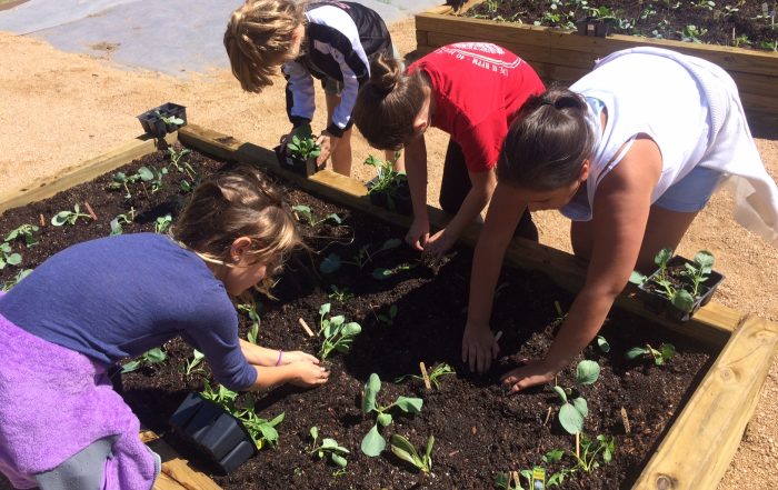 Students at Hamilton Park Pacesetter Magnet fill up their newly built garden classroom.