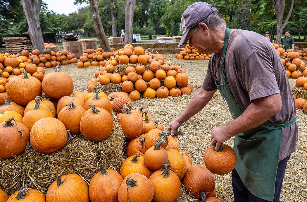 Fall at the Arboretum has been named one of the best fall festivals in the United States