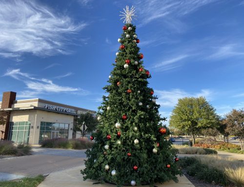 Upcoming events filled with neighborhood holiday magic