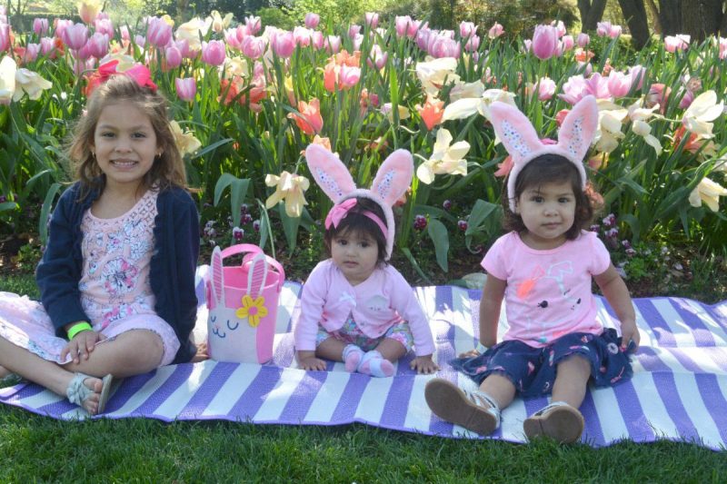 Dallas Arboretum rolls out Easter activities in April Lake Highlands