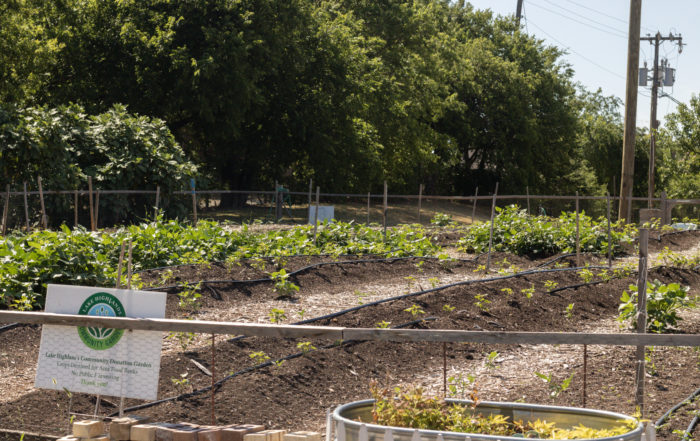 Lake Highlands Community Garden