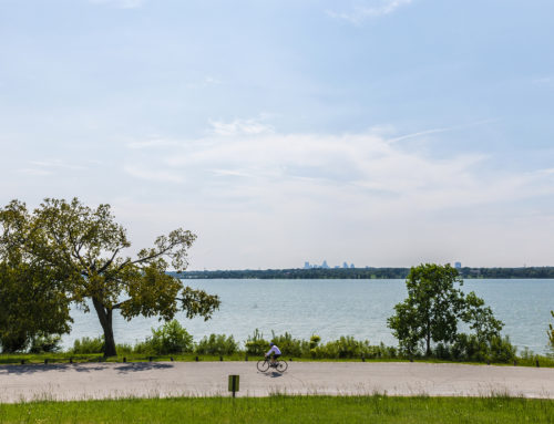 More than 100 trees to be planted at White Rock Lake Park