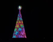 Musical Christmas tree at Dallas Arboretum