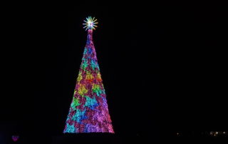 Musical Christmas tree at Dallas Arboretum