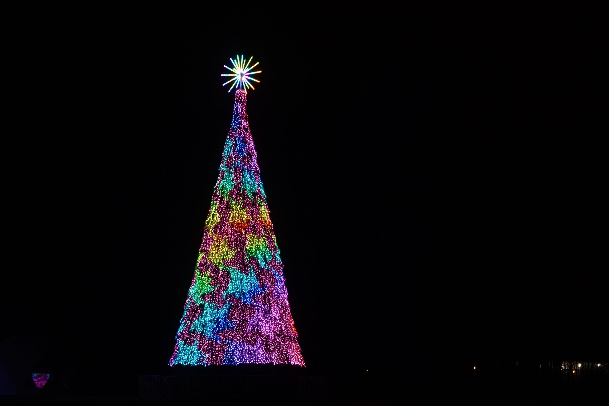 Musical Christmas tree at Dallas Arboretum