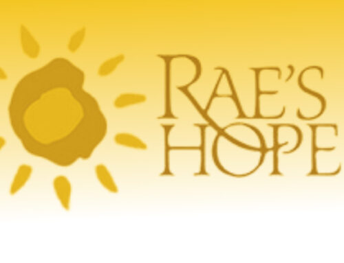 Local nonprofit profile: Rae’s Hope empowers girls through volleyball
