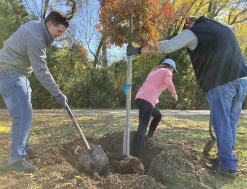 Texas Trees Foundation plants 75 new trees at LH North Park
