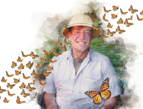 The Butterfly Guy: Tony Delia built a backyard monarch haven