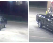 Audelia hit and run
