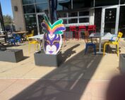 Lake Highlands mardi gras
