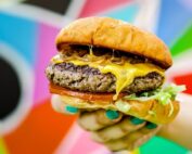 Burger Fight