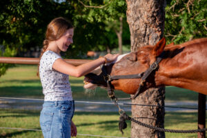 White Rock Stables invites neighbors in for healing