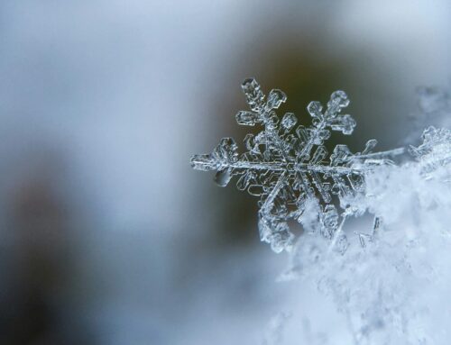 Wondering about how dangerous the roads are? Here’s what to keep in mind.