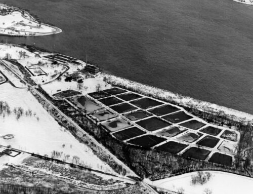 The Old Fish Hatchery evolved into a nature area over almost 100 years