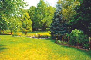 3 things to do in and around Lake Highlands this weekend