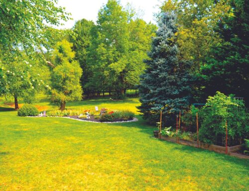 3 things to do in and around Lake Highlands this weekend