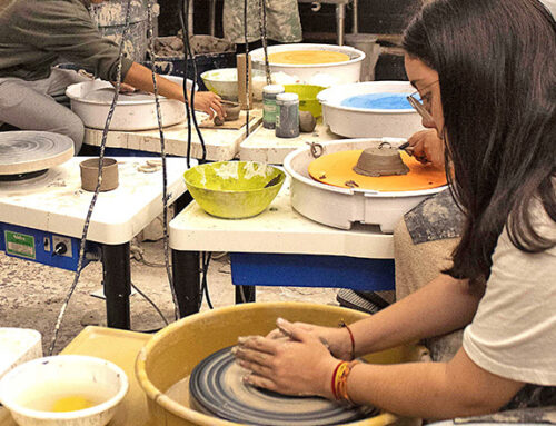 Wild for Cats is ‘bridging the gap’ to impact every student