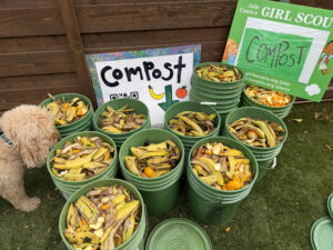 Girl Scout Gold Award winner Ellie Manders educates community about composting