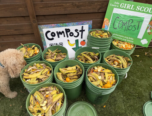 Girl Scout Gold Award winner Ellie Manders educates community about composting