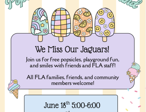 Forest Lane Academy invites families to Popsicles on the Playground