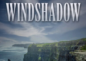 Launch party for ‘Windshadow’ by Cindy Causey