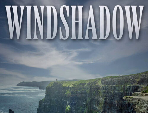Launch party for ‘Windshadow’ by Cindy Causey