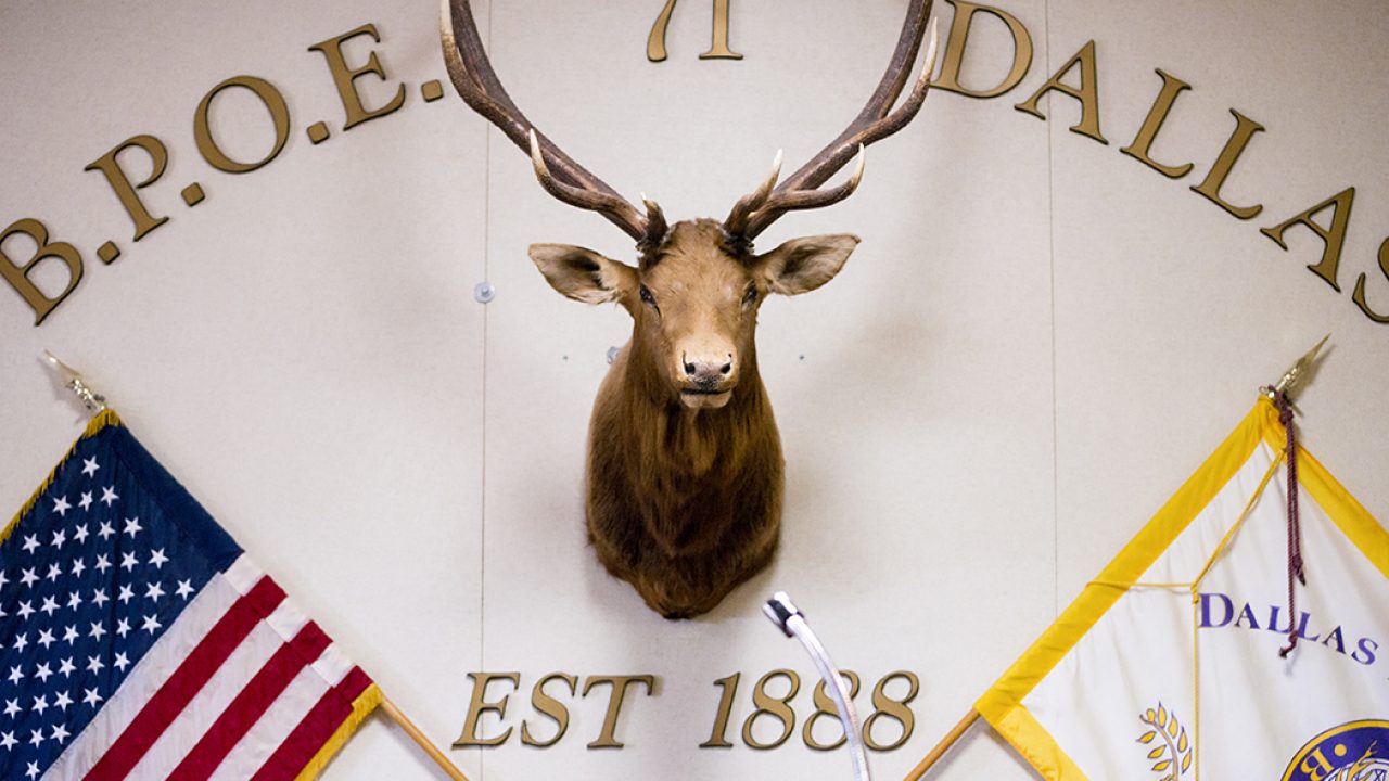 Elks Lodge Bingo Near Me