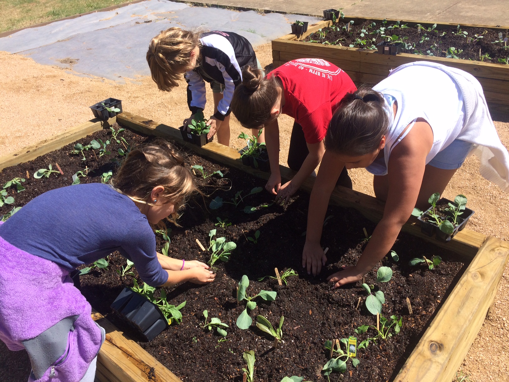 Students at Hamilton Park Pacesetter Magnet fill up their newly built garden classroom.