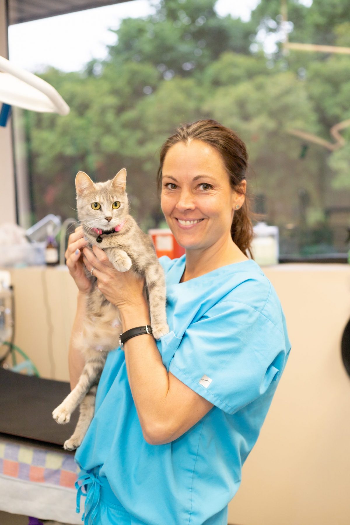 Doodle Rock Rescue founder opens nonprofit animal clinic - Lake Highlands